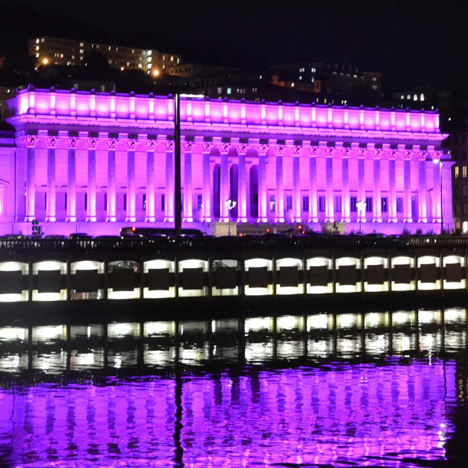 In Lyon (France), Visotec celebrated Cluster Lumière's 10-year anniversary